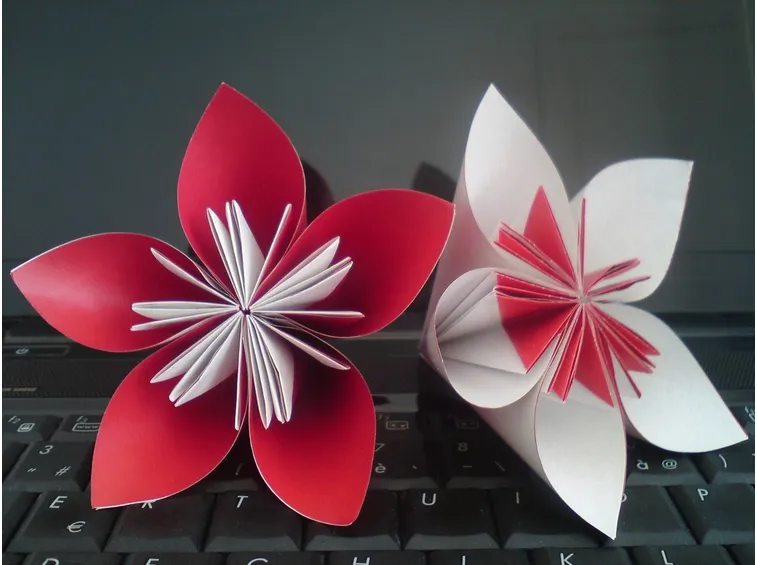 Fiori di cartoncino