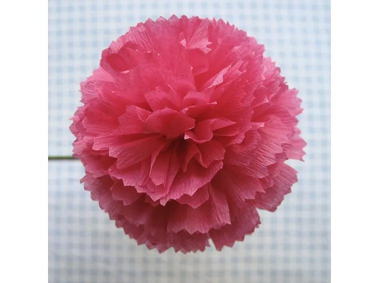 Rose con carta crespa