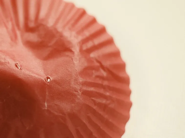 Buchi per i fiori di carta