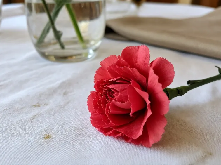 Piega per fare i fiori