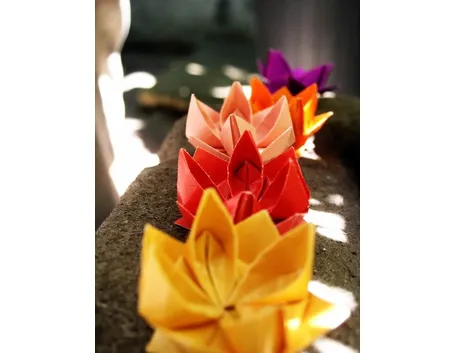 Fiori di loto decorativi
