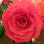 una rosa di carta crespa