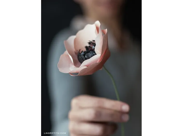 Anemone di carta