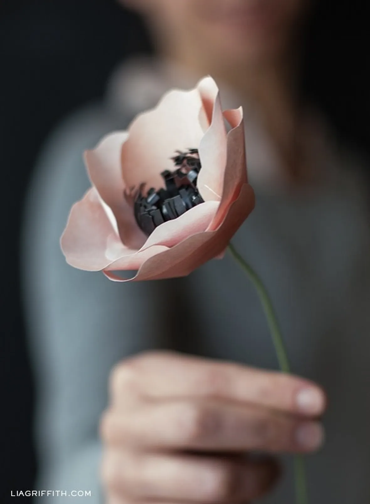 Anemone di carta
