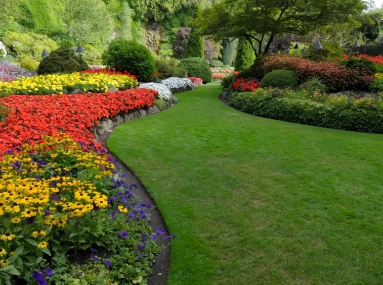 Il giardino invidiato da tutti