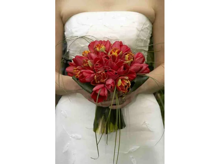 Bouquet di tulipani rossi