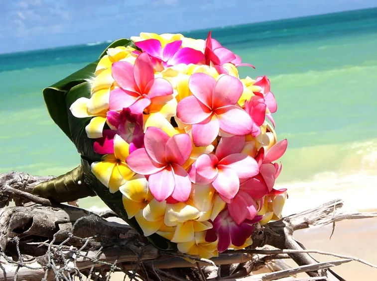 Bouquet di fiori tropicali