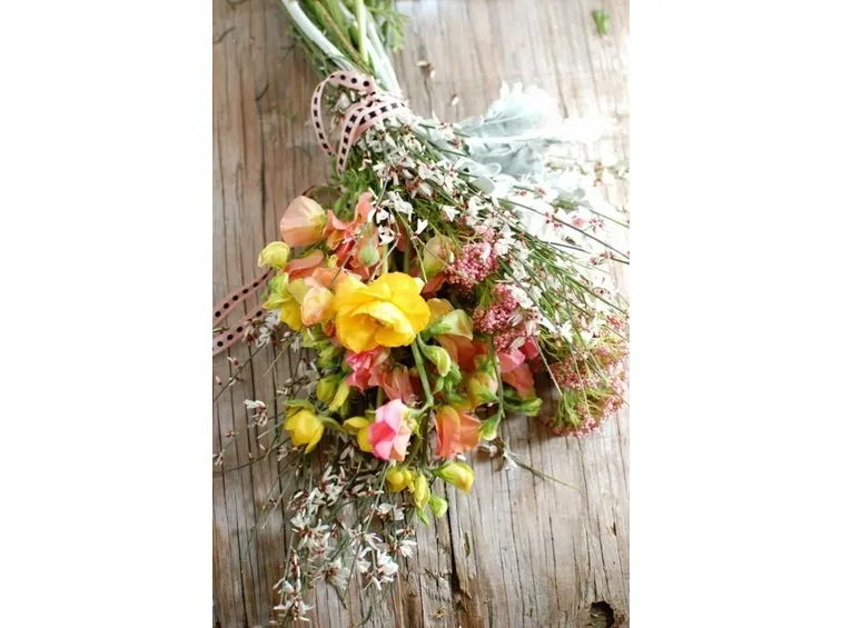 Freschi fiori di campo