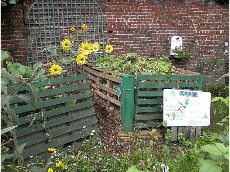 Alcuni fiori dopo concimazione naturale