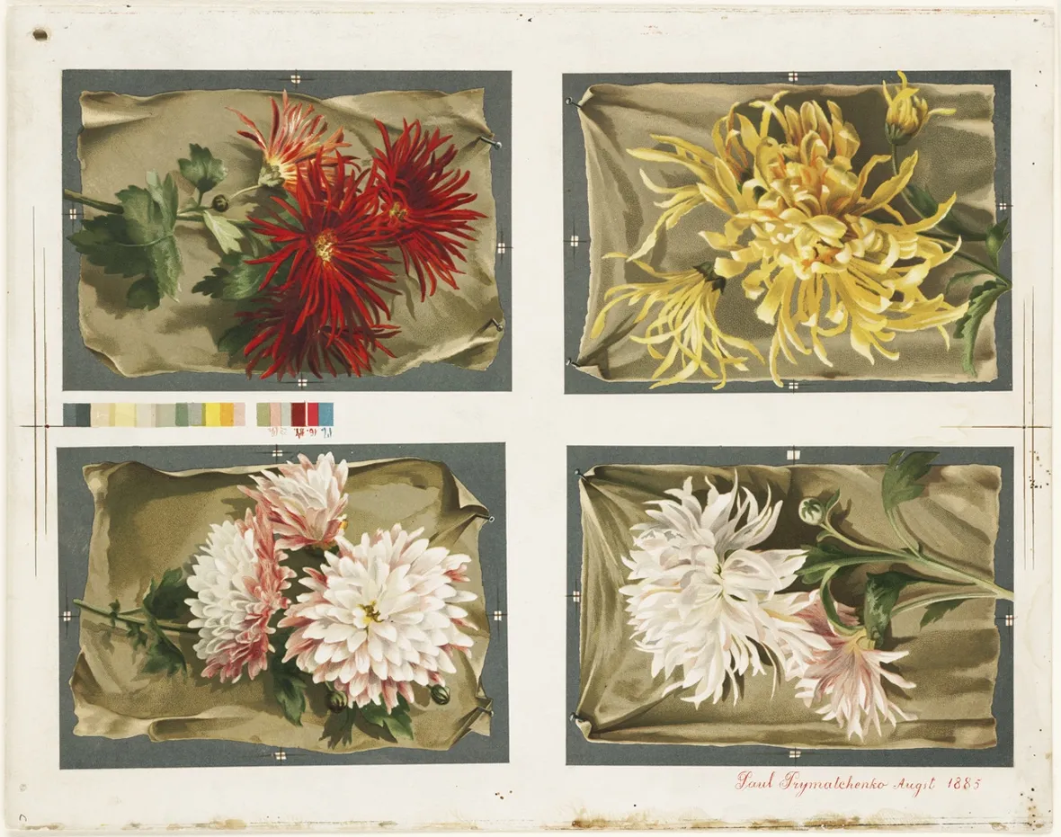 Fiori e toni colore