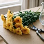 Scegliere bene il mazzo: steli sodi e fiori non ancora del tutto aperti