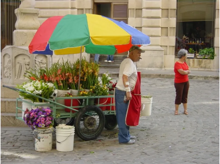Fioraio itinerante