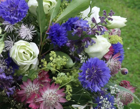 Miscuglio di fiori di giugno