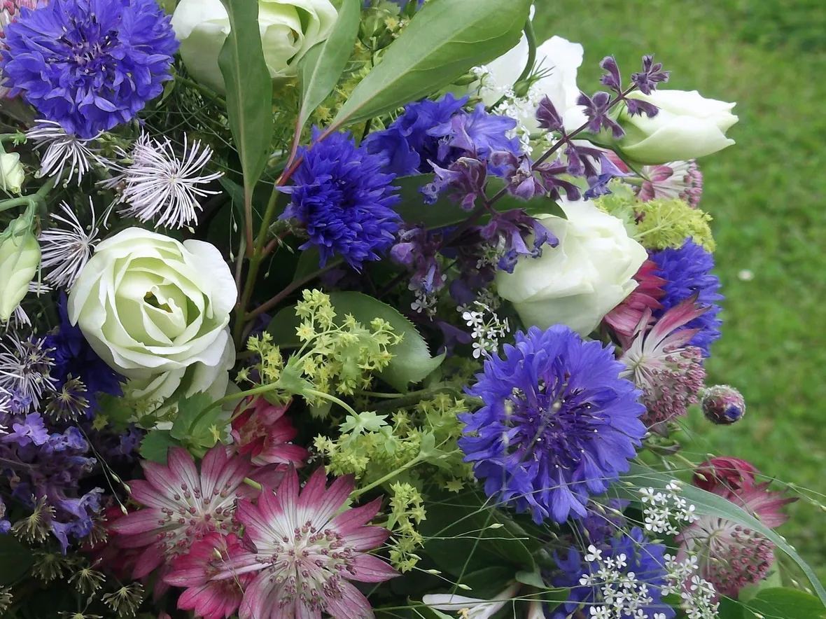 Miscuglio di fiori di giugno