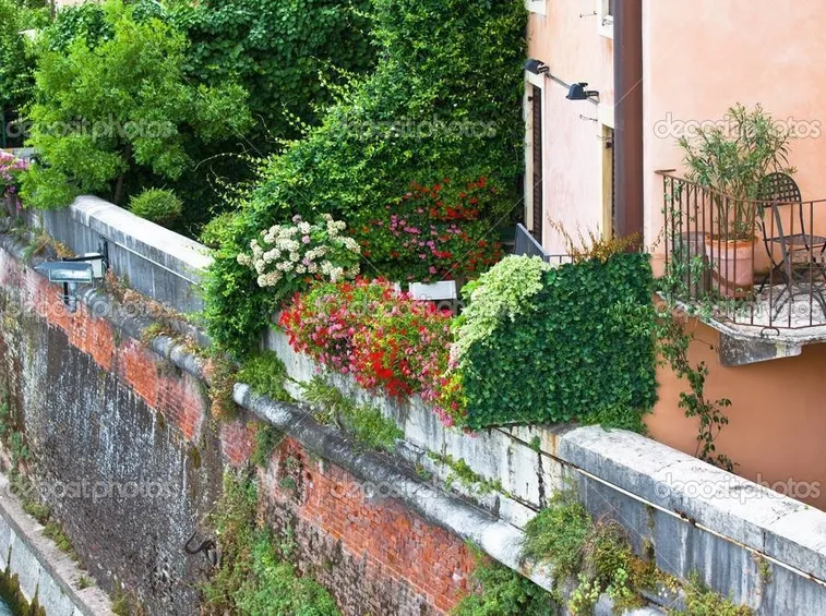 Un'altra bella immagine di fiori su un terrazzo