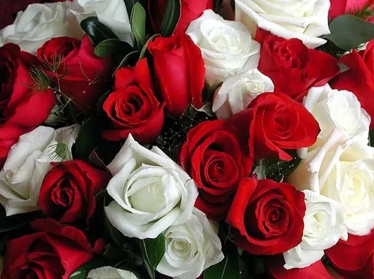 bouquet di rose rosse e bianche