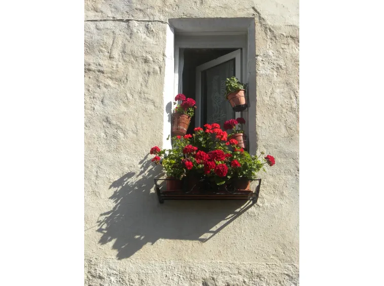 Fiori in poco spazio