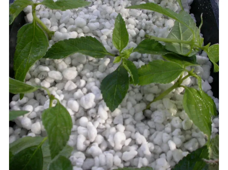 Strato di perlite