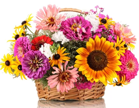 Bouquet colorato in regalo