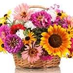 Bouquet colorato in regalo