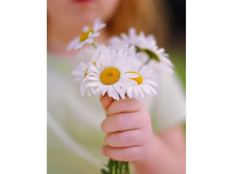 Regalare un fiore: un gesto semplice e sincero