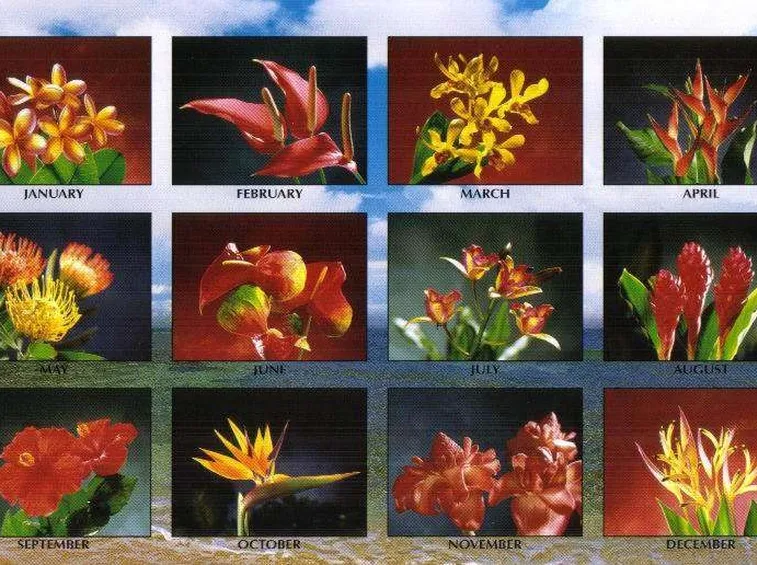 Il calendario dei fiori
