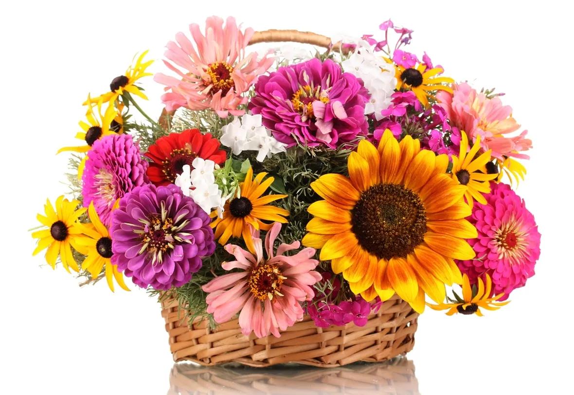 Bouquet colorato in regalo