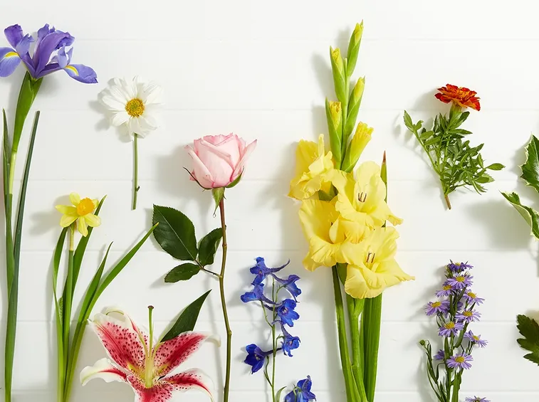 fiori compleanno