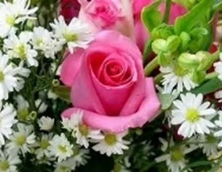 fiori misti