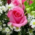 fiori misti