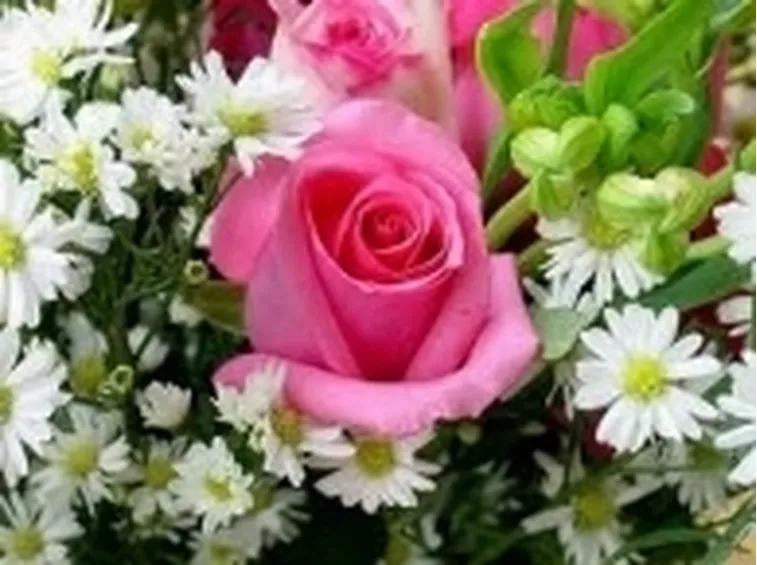 fiori misti