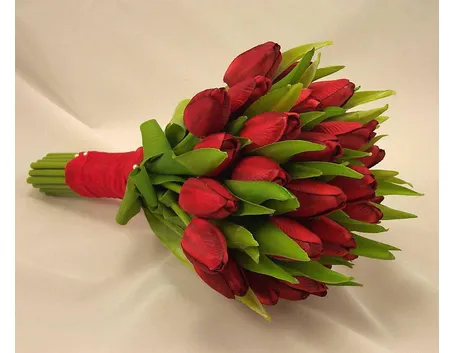 tulipani rossi
