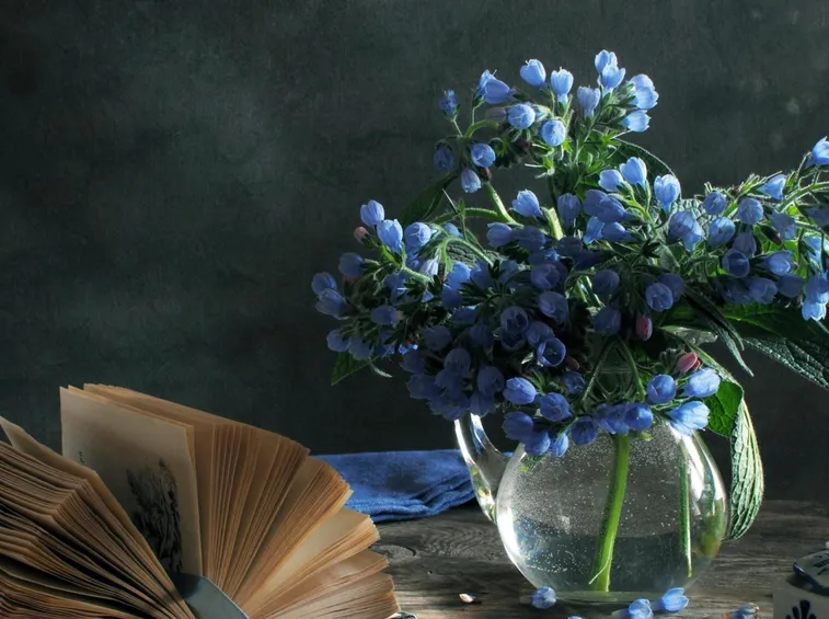 fiori blu laurea