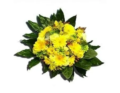 fiori ringraziamento