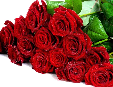 rose rosse