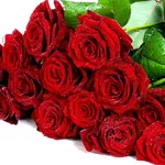 rose rosse