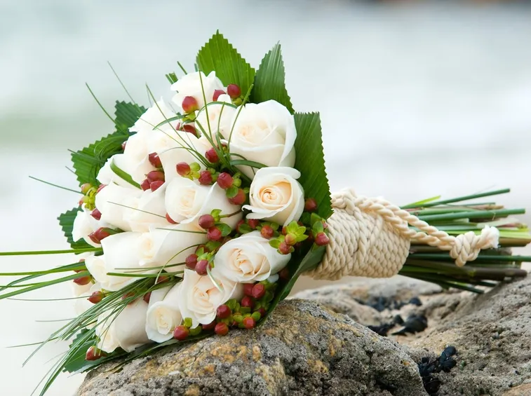 rose bianche