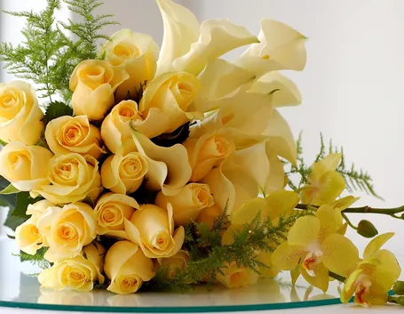 giallo amicizia