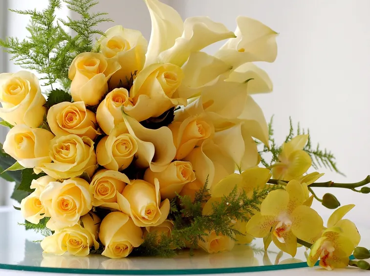 giallo amicizia