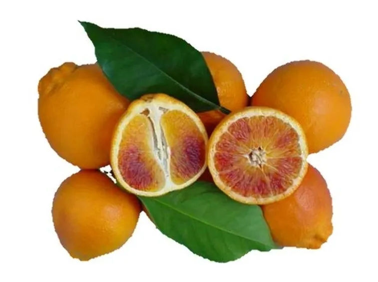 Arancia tarocco
