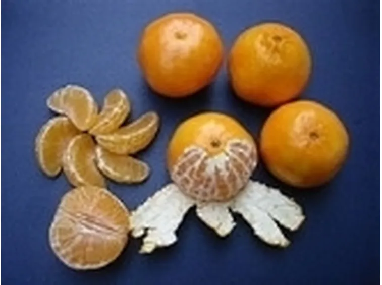 clementine