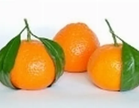 mandarino