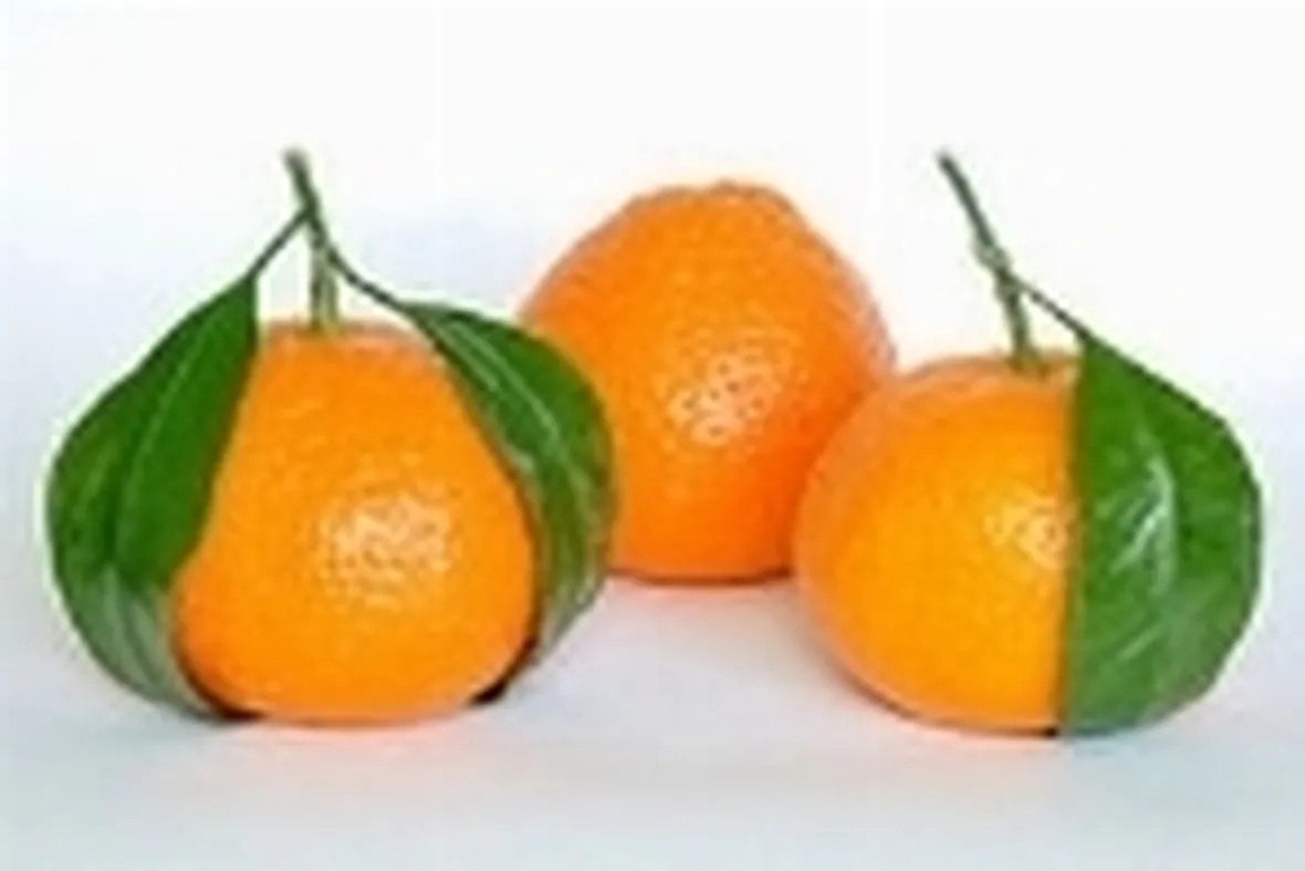 mandarino