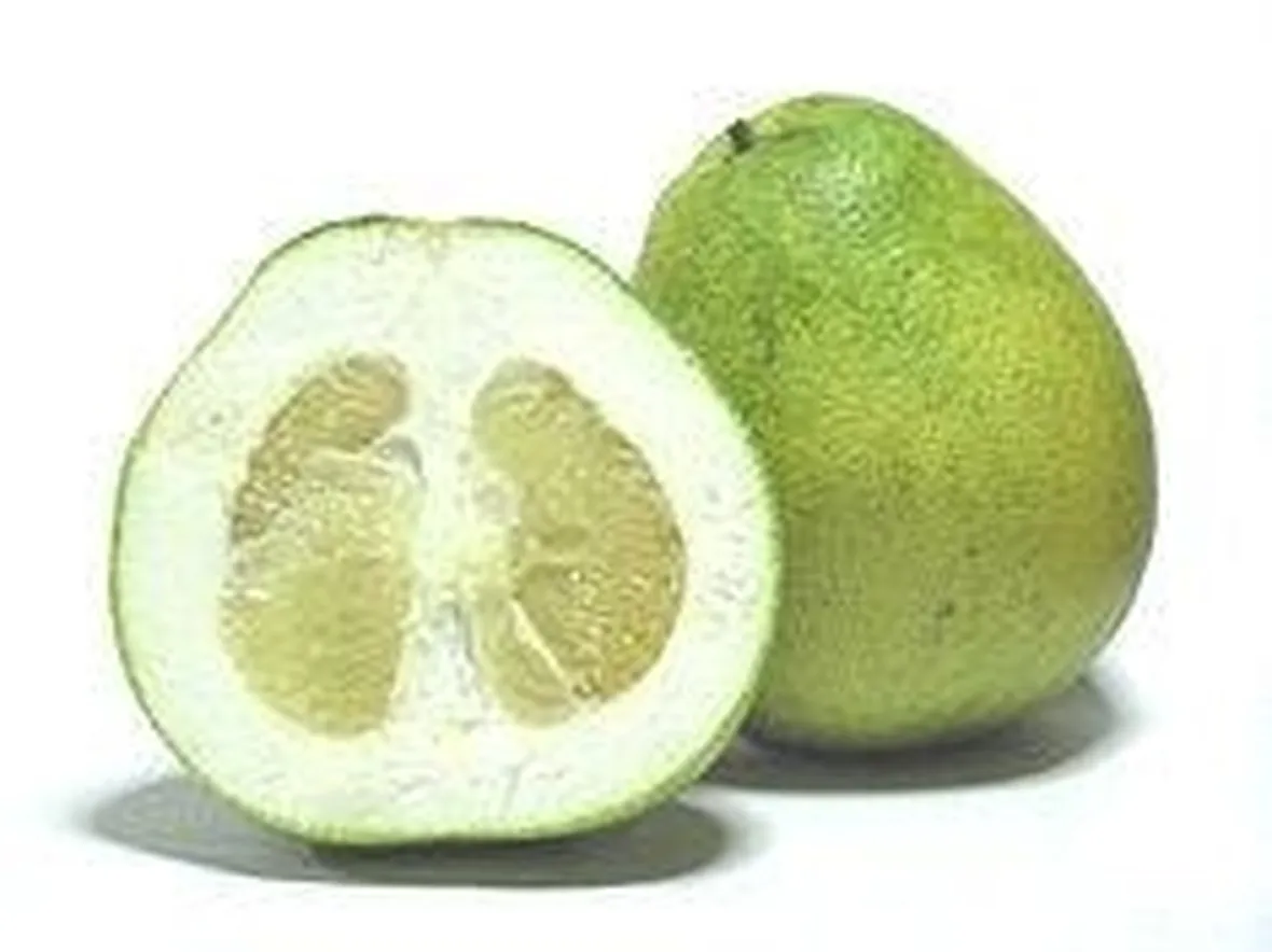 pummelo