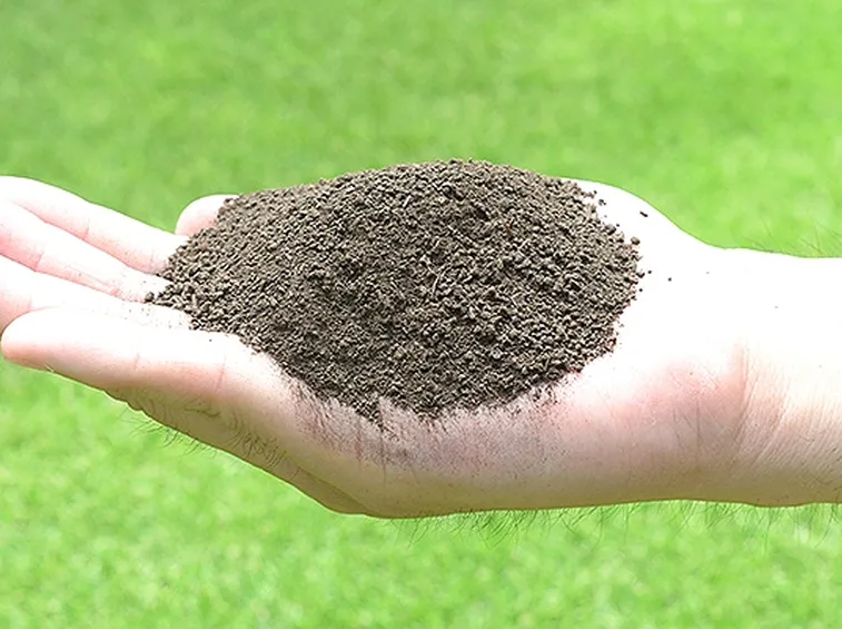 Fertilizzante organico