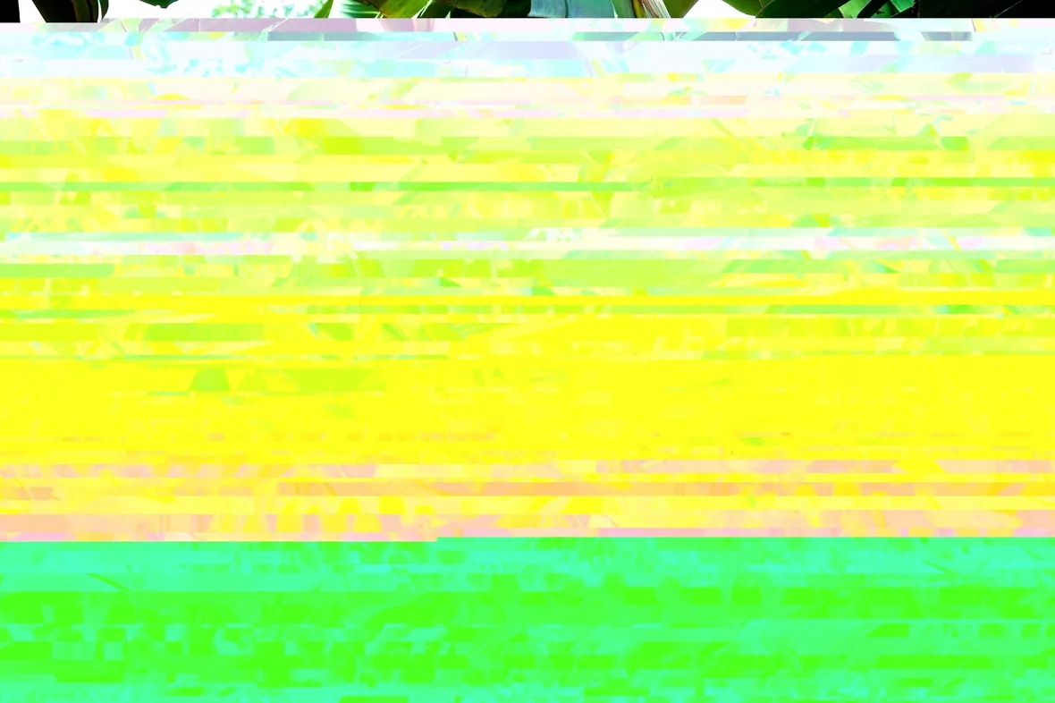Banano fruttificazione
