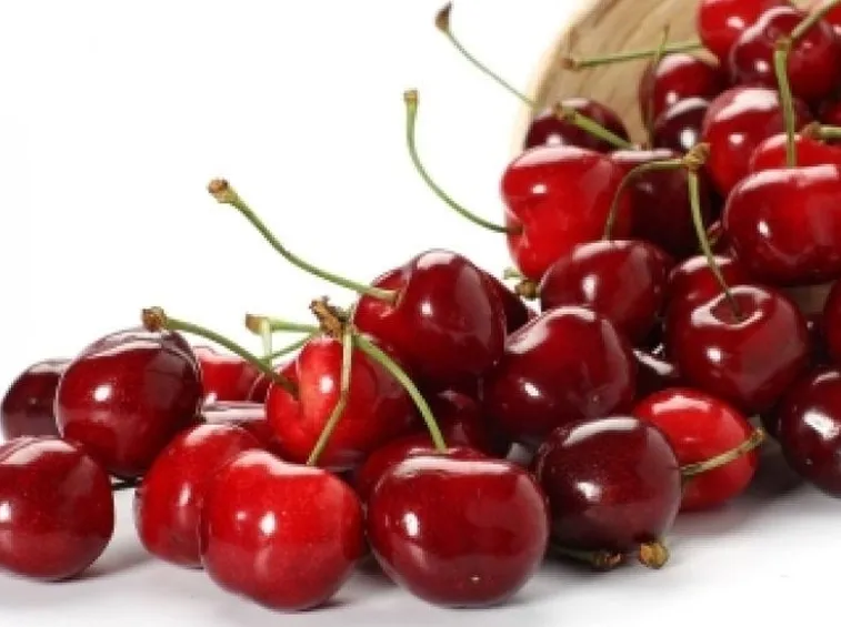 Varietà dolce di ciliegie