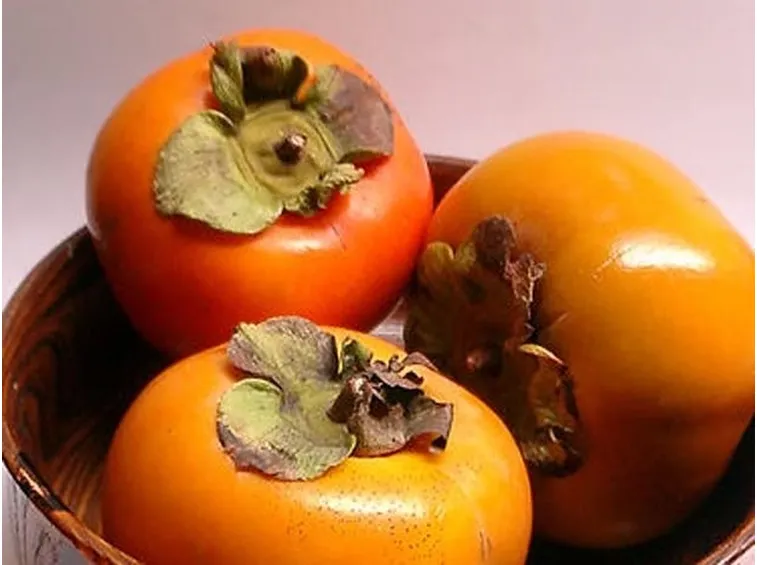 Il frutto del kaki