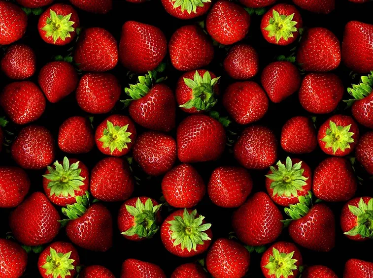 Gustosissime fragole