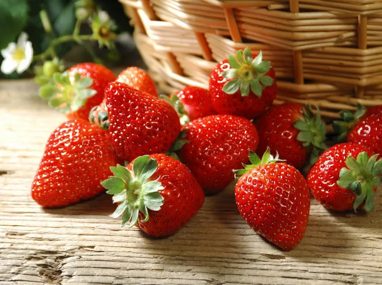 Fragole mature